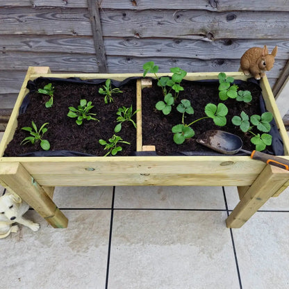 Churnet Valley Raised Vegetable Planter